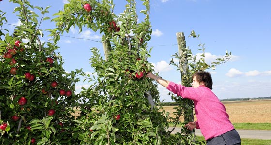 agriculture